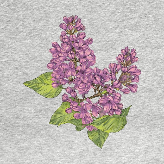 Hand-drawn lilac flower by orsinha